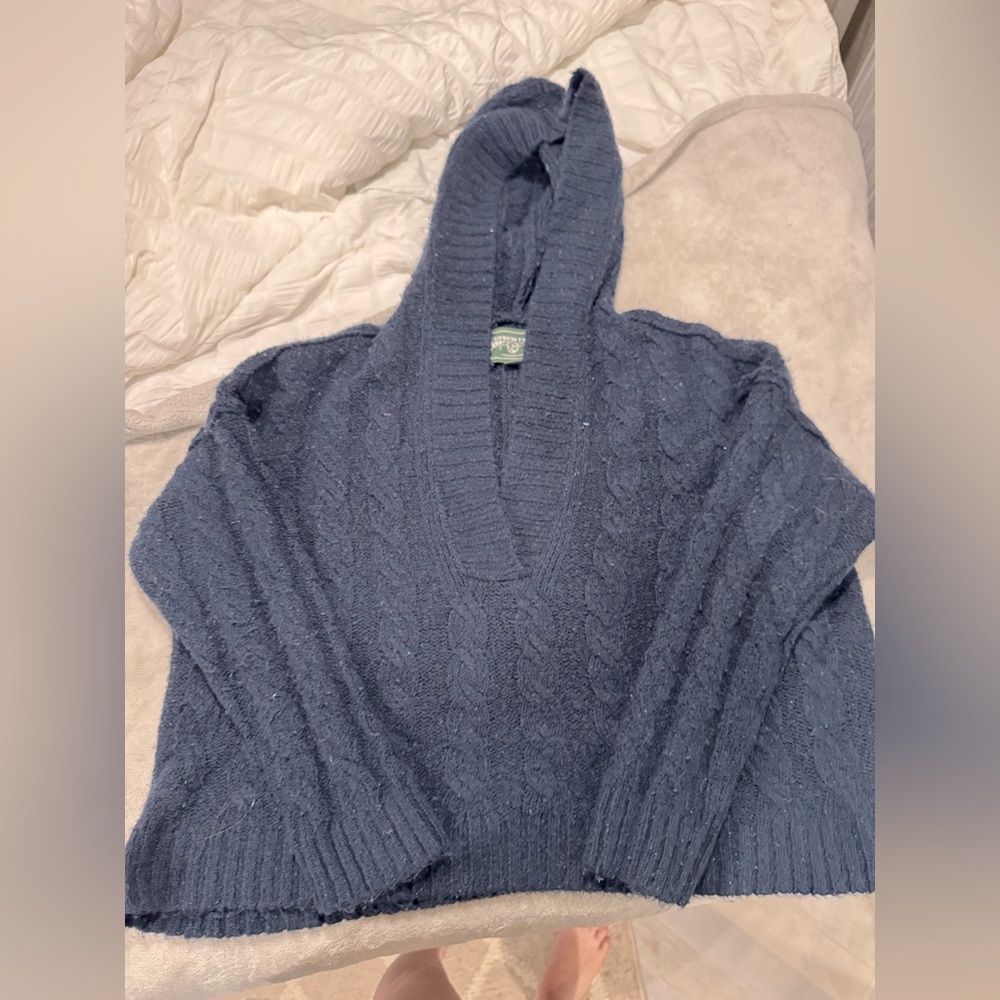 American Eagle Outfitters Blue V-Neck Sweater